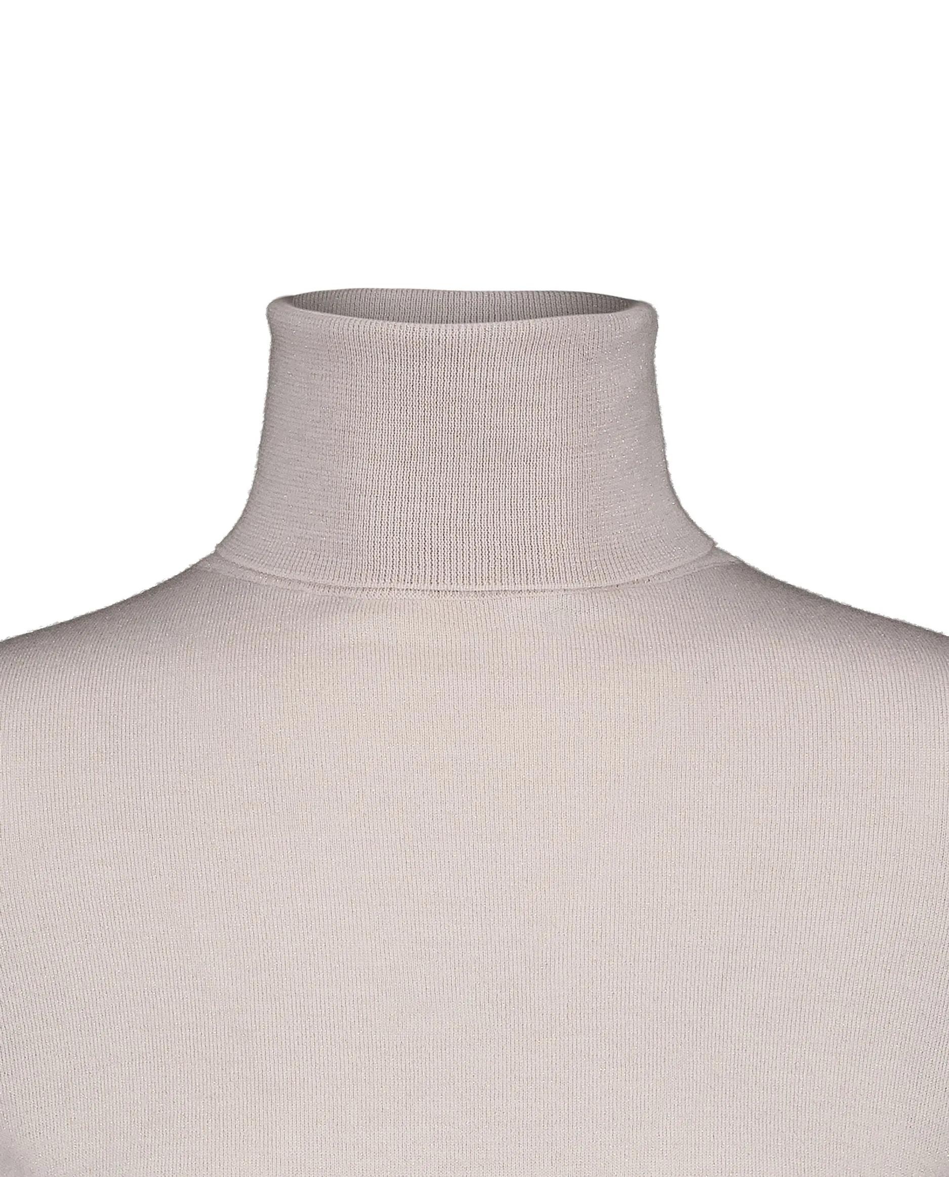 24564102442 Fine knit shimmer turtleneck