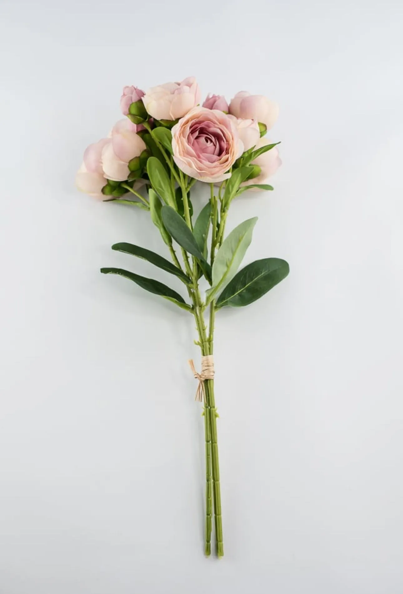 Antique Pink ranunculus bundle