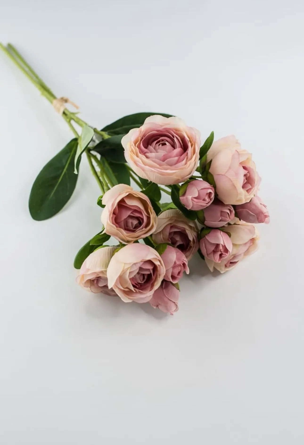 Antique Pink ranunculus bundle