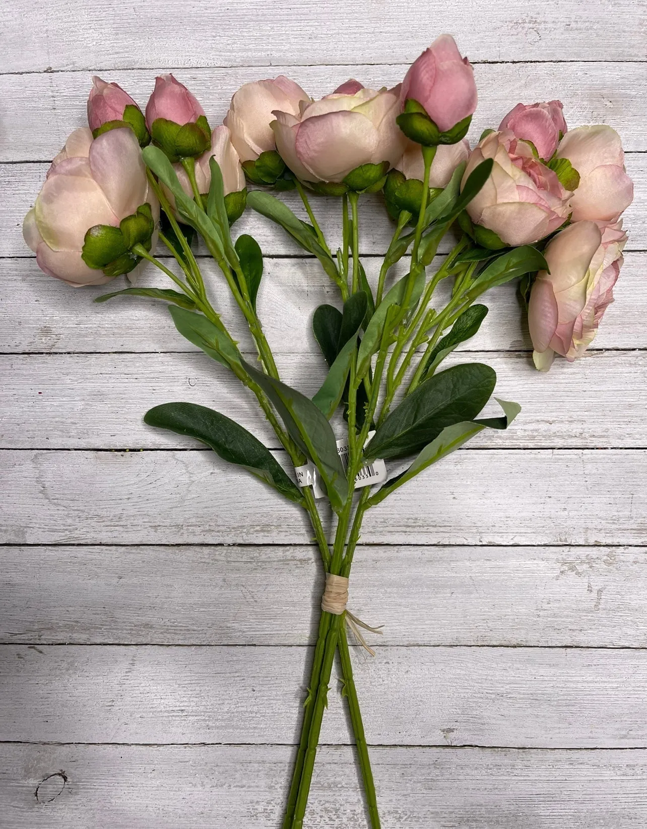 Antique Pink ranunculus bundle