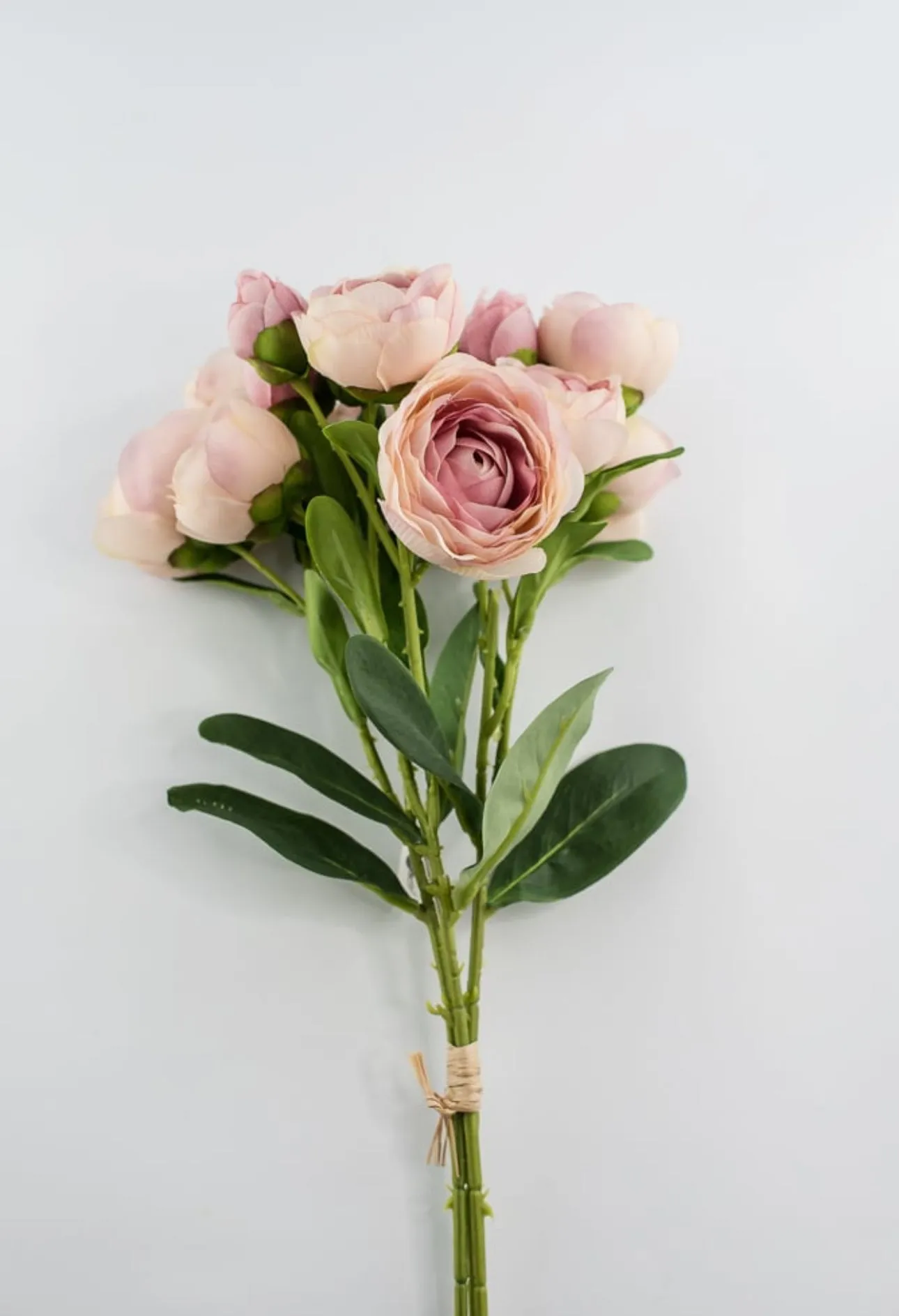 Antique Pink ranunculus bundle