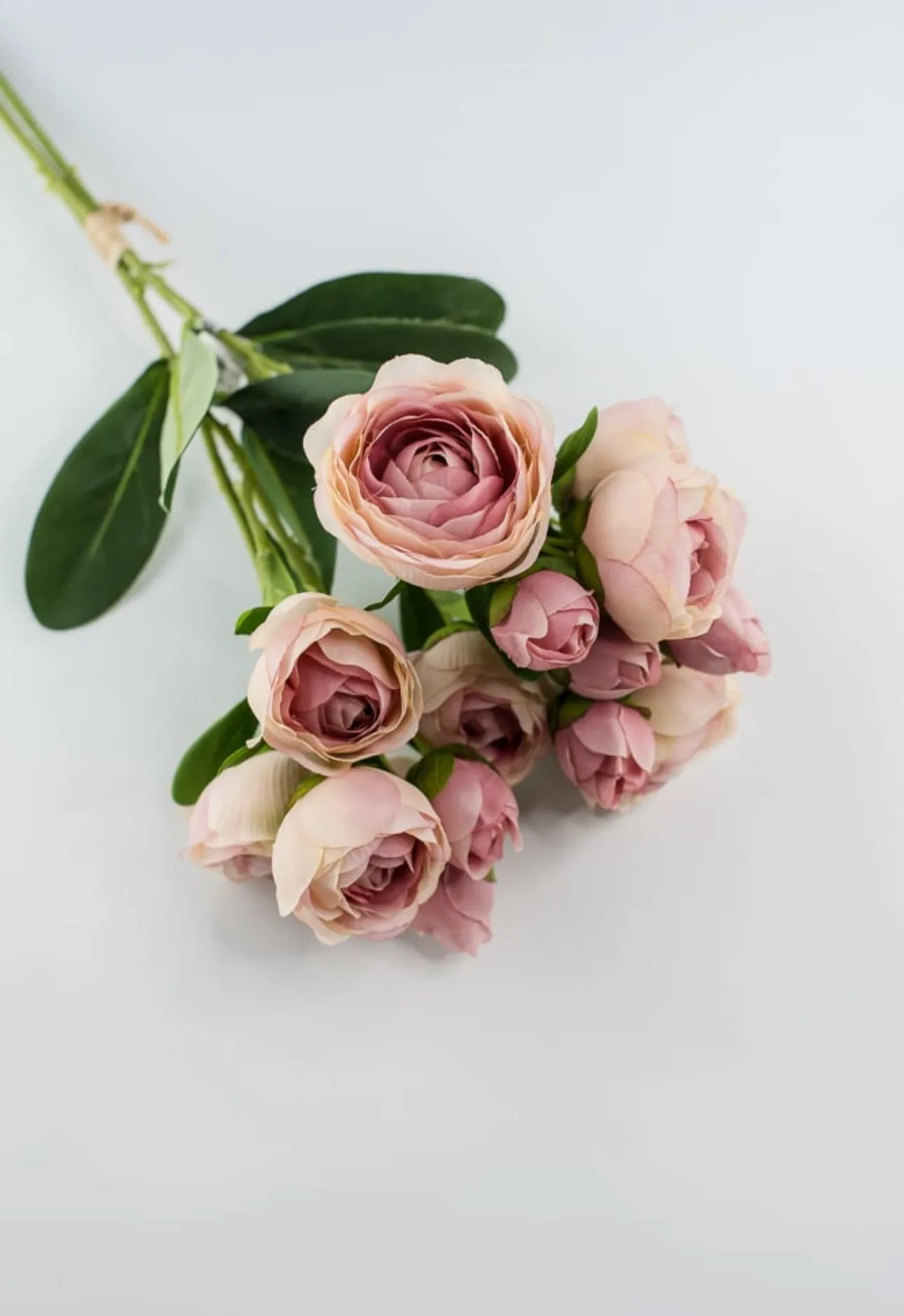 Antique Pink ranunculus bundle