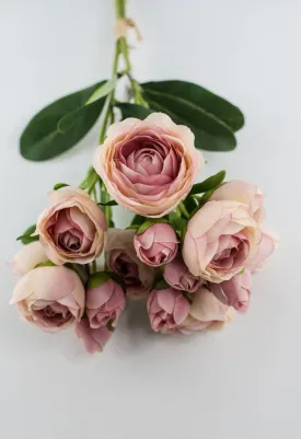 Antique Pink ranunculus bundle