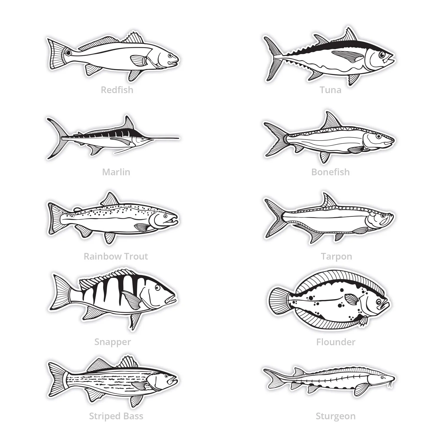 Black & White Gamefish Bumper Stickers