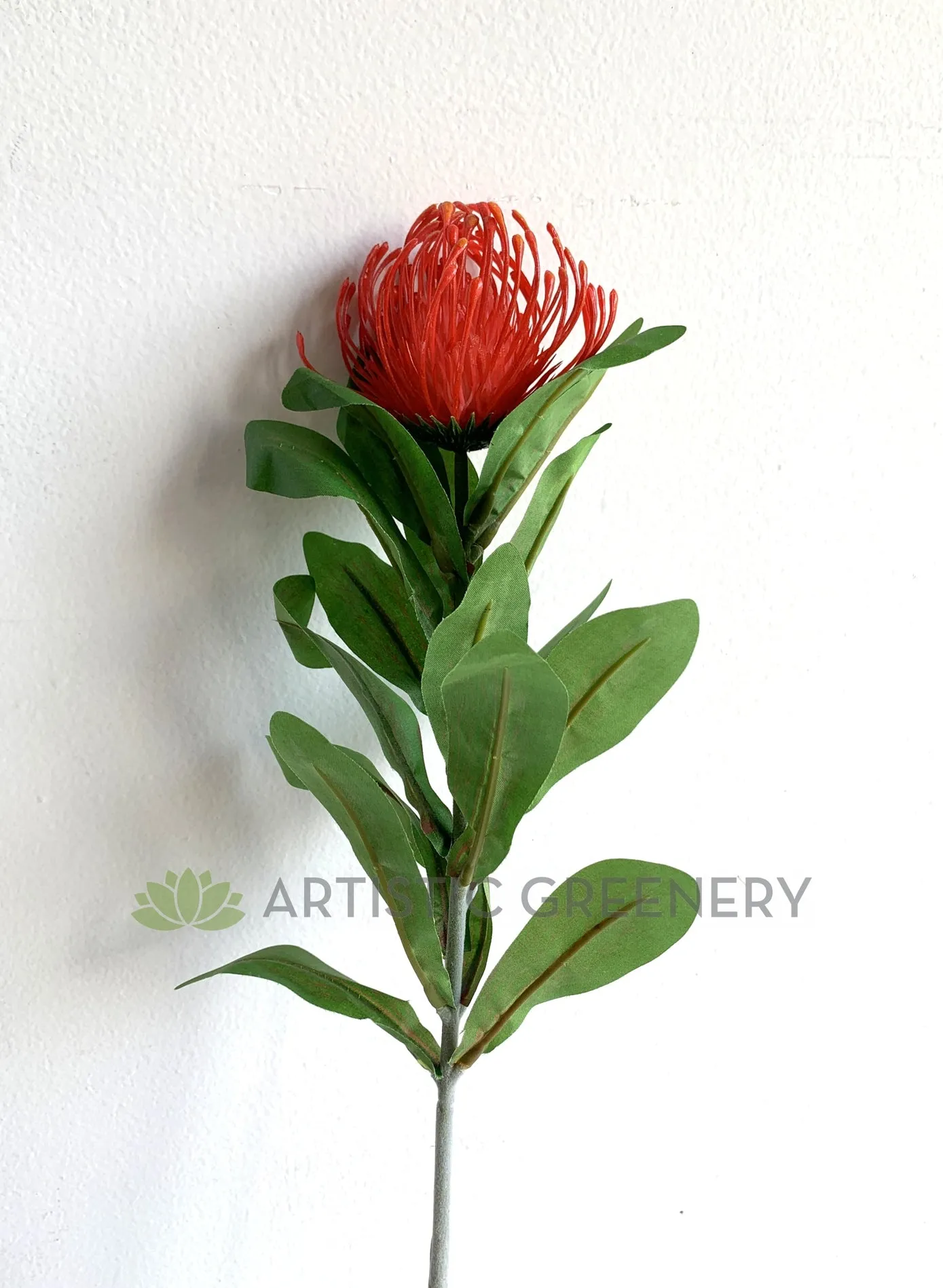 F0067 Protea Pincushion Single Stem 80cm Red