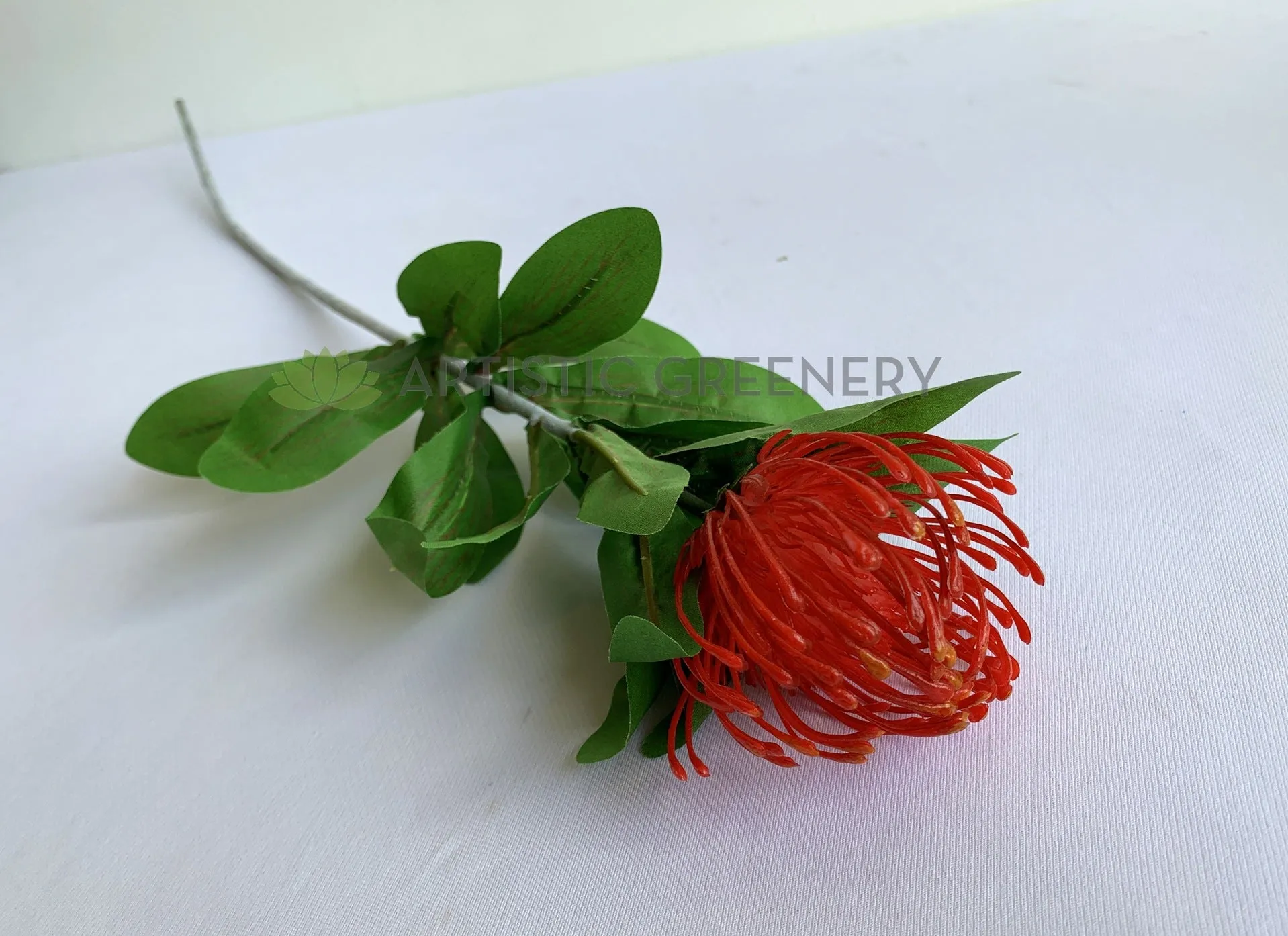 F0067 Protea Pincushion Single Stem 80cm Red