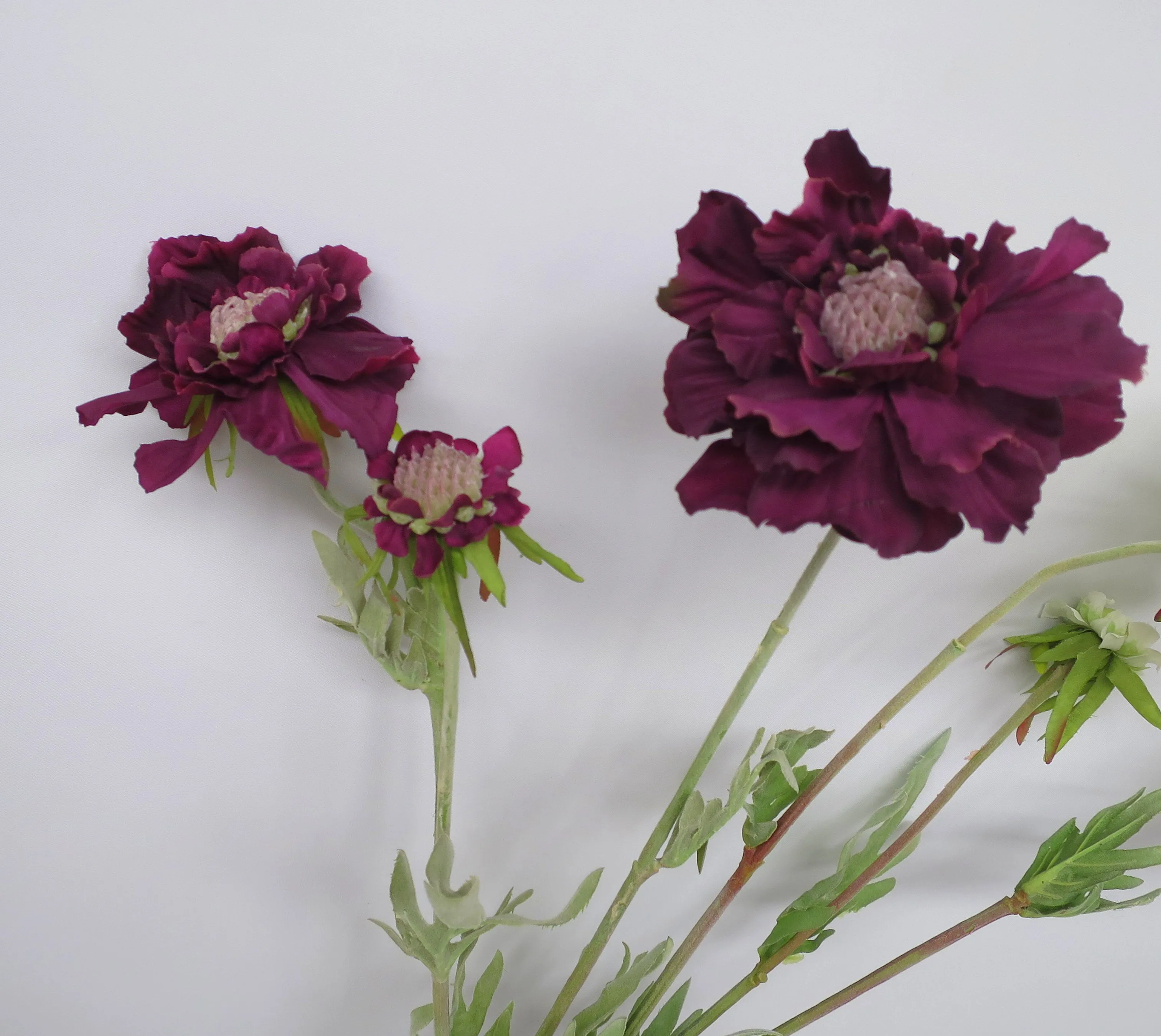 F0214 Scabious Spray 72cm Plum / White