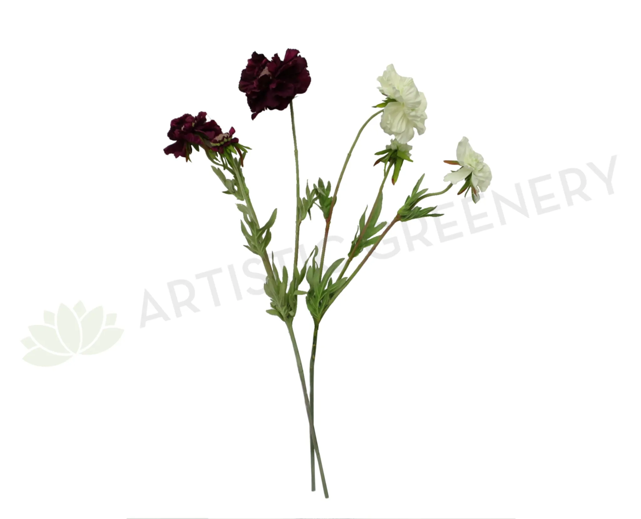 F0214 Scabious Spray 72cm Plum / White