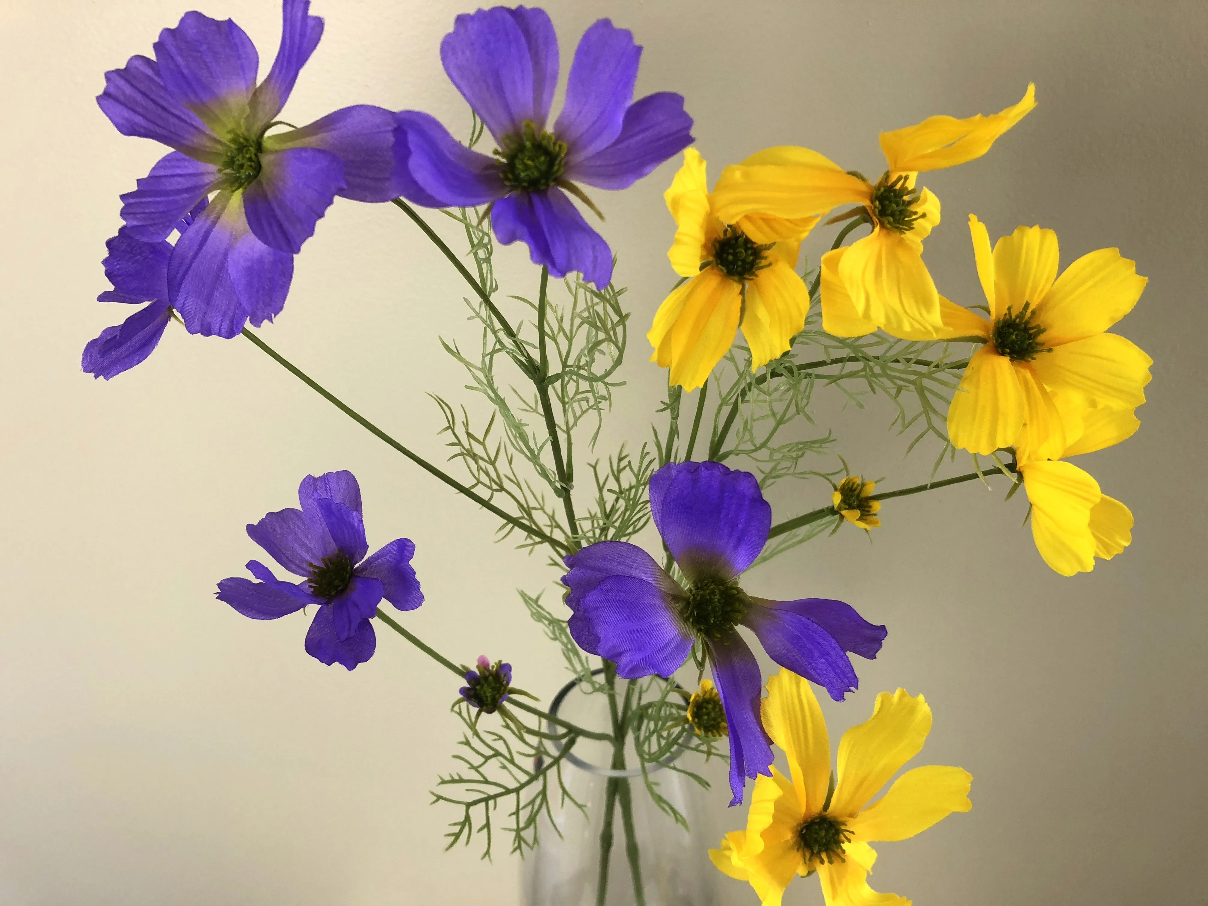 F0233 Cosmos Spray 80cm Purple / Yellow