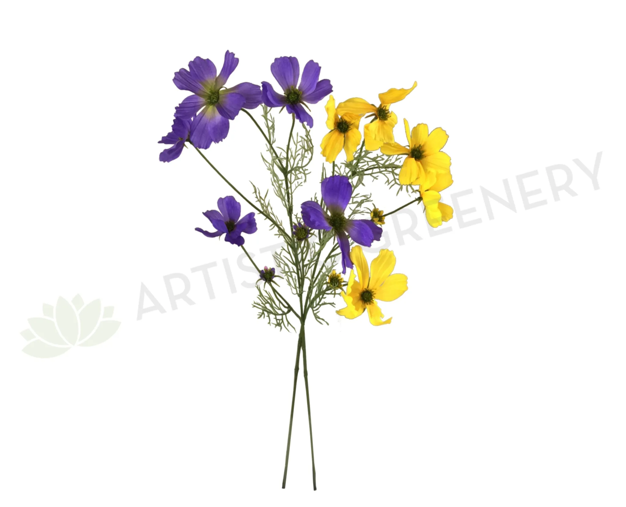 F0233 Cosmos Spray 80cm Purple / Yellow