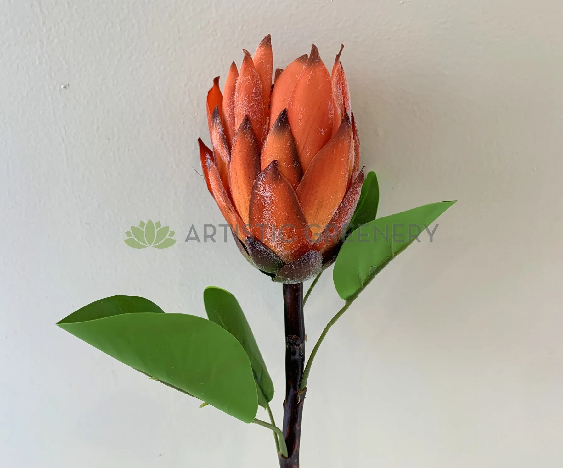 F0302 Protea Stem 65cm Orange