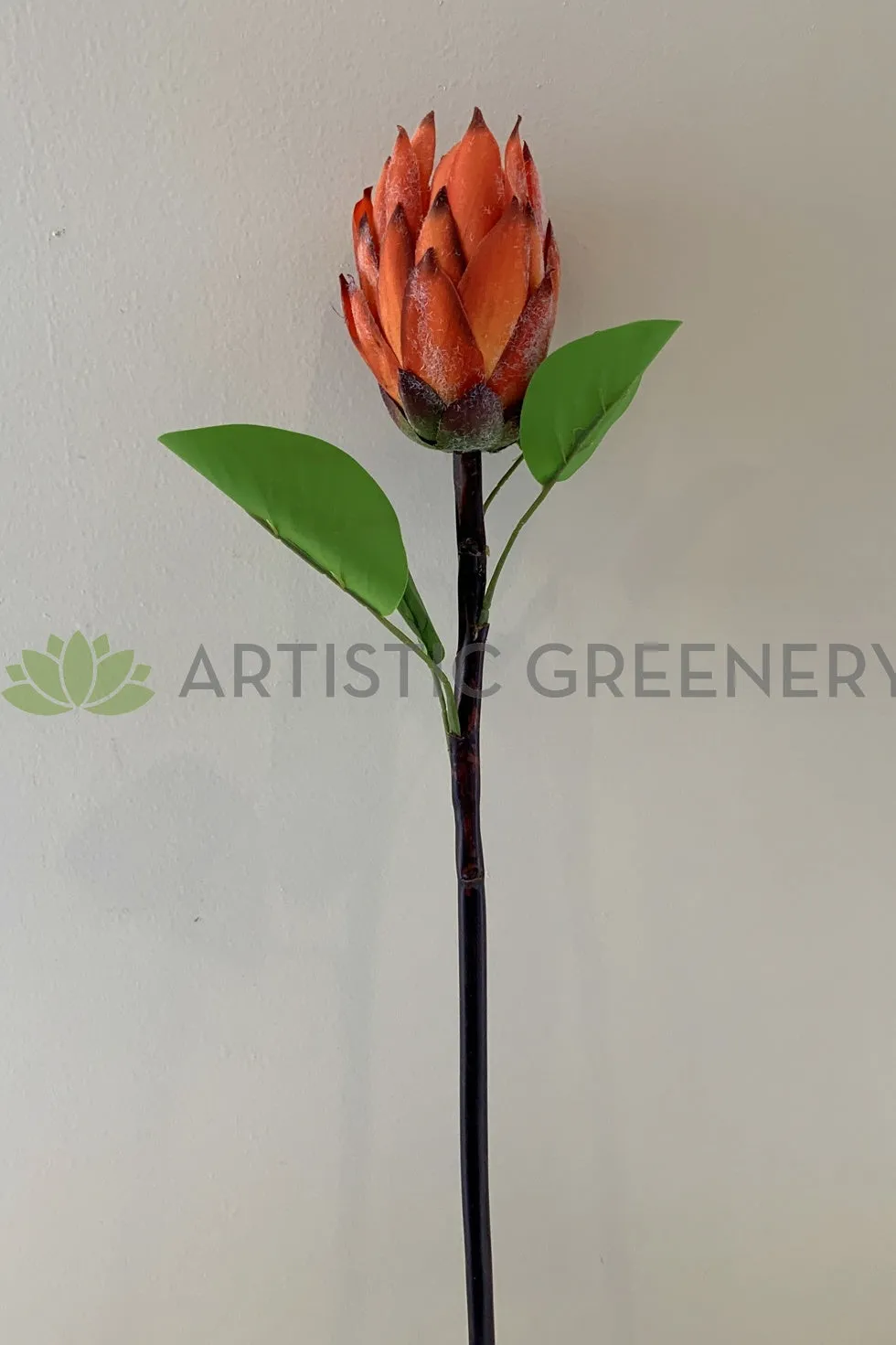 F0302 Protea Stem 65cm Orange