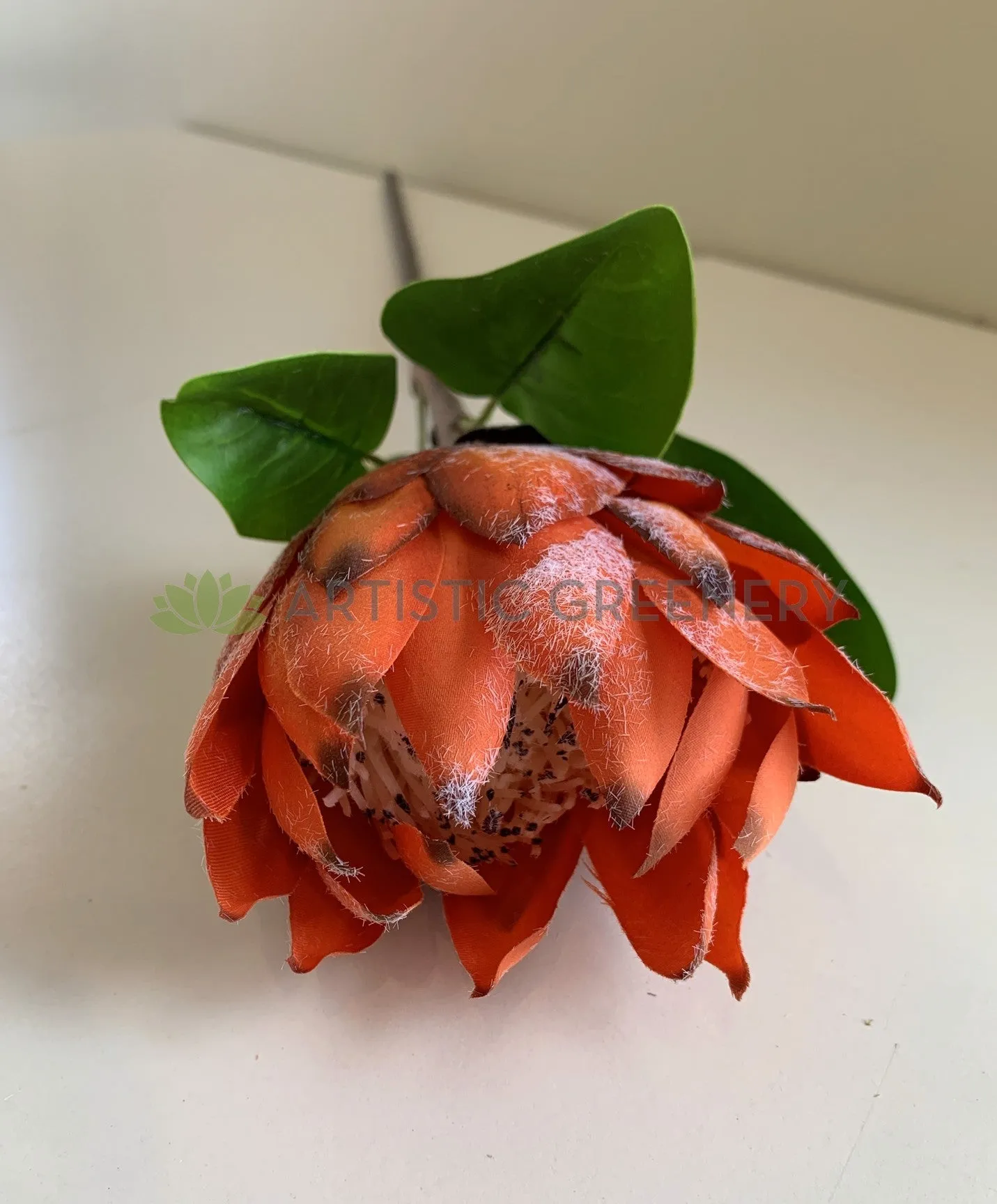 F0302 Protea Stem 65cm Orange