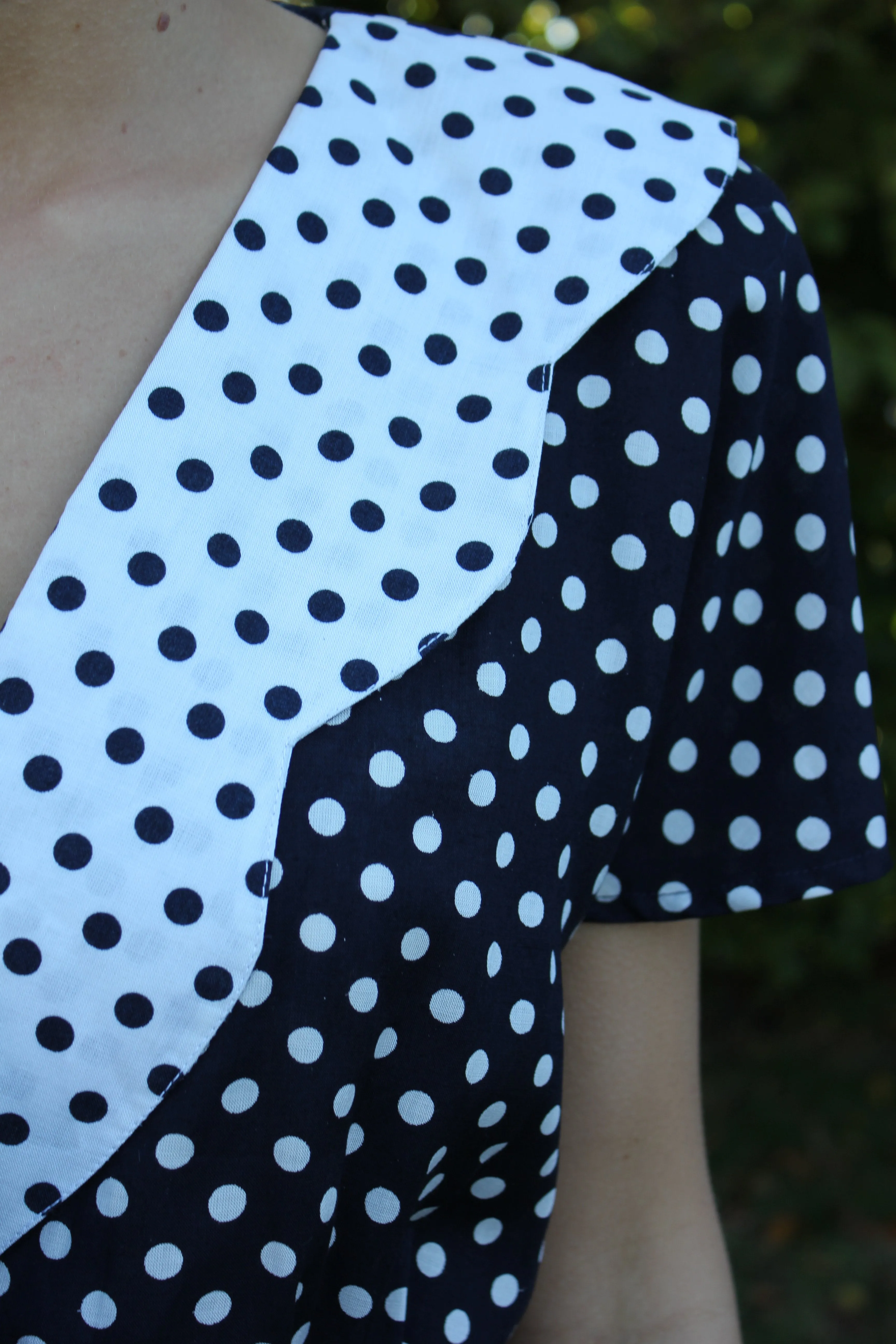 Polka Dot Dress